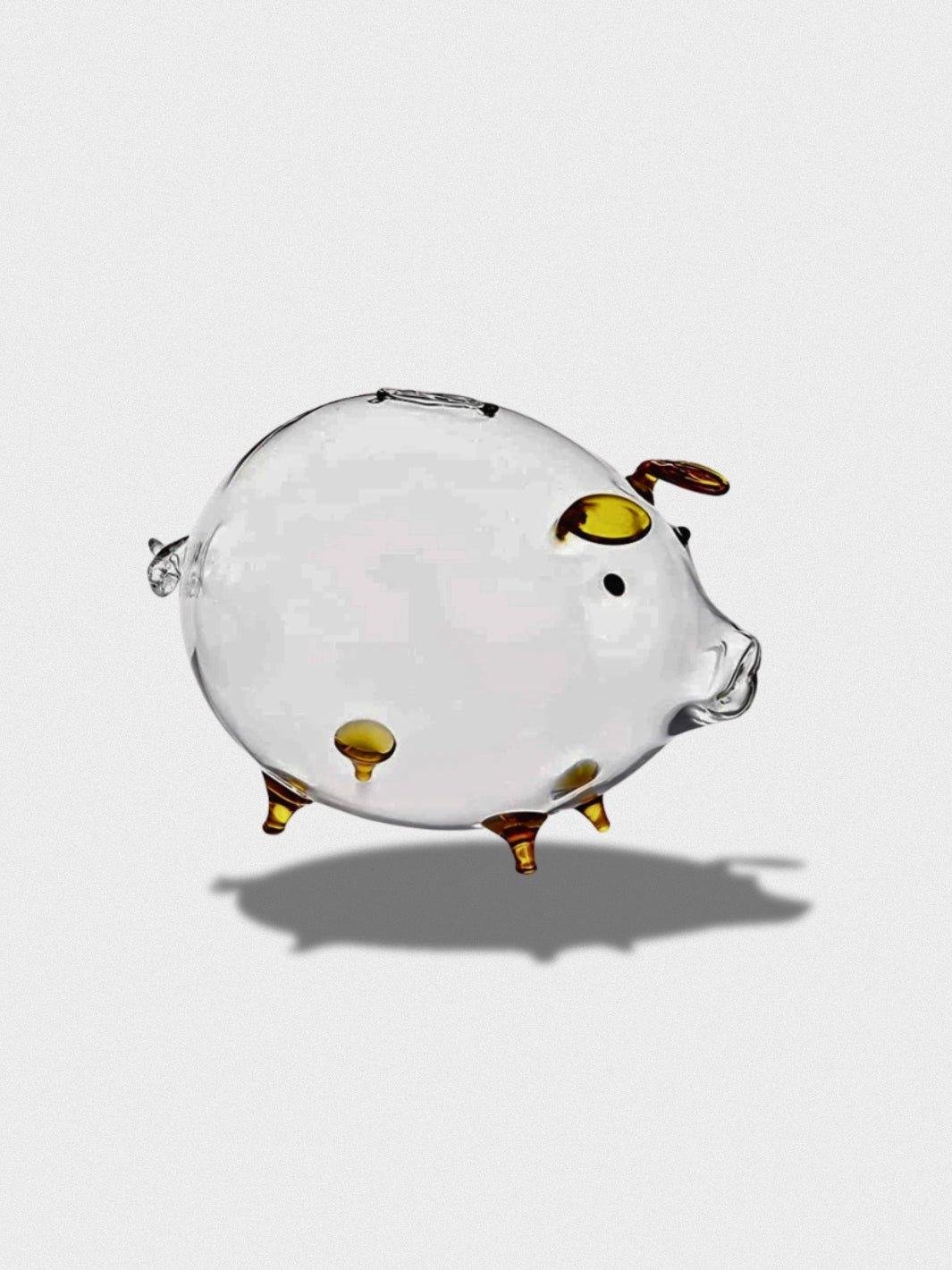 Tirelire Cochon Transparente