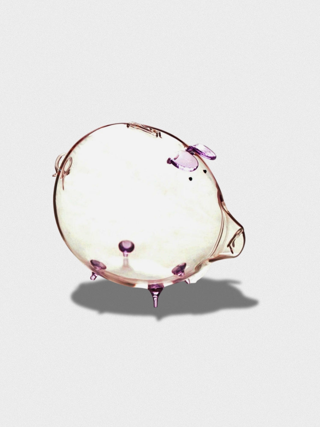 Tirelire Cochon Transparente