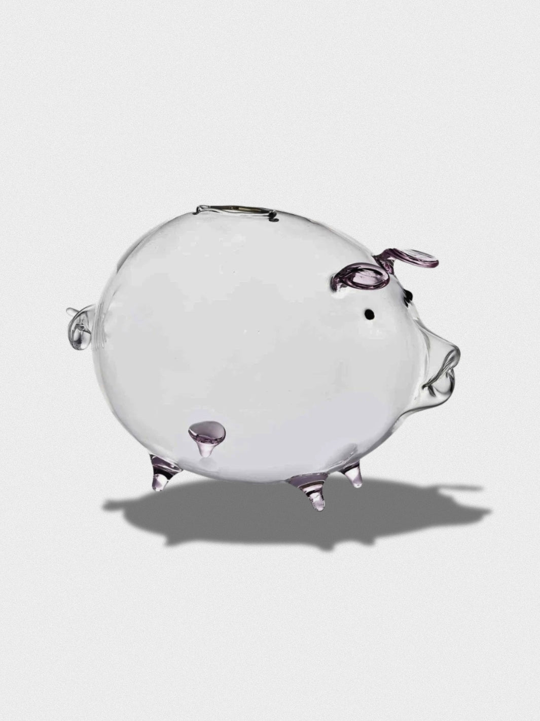 Tirelire Cochon Transparente