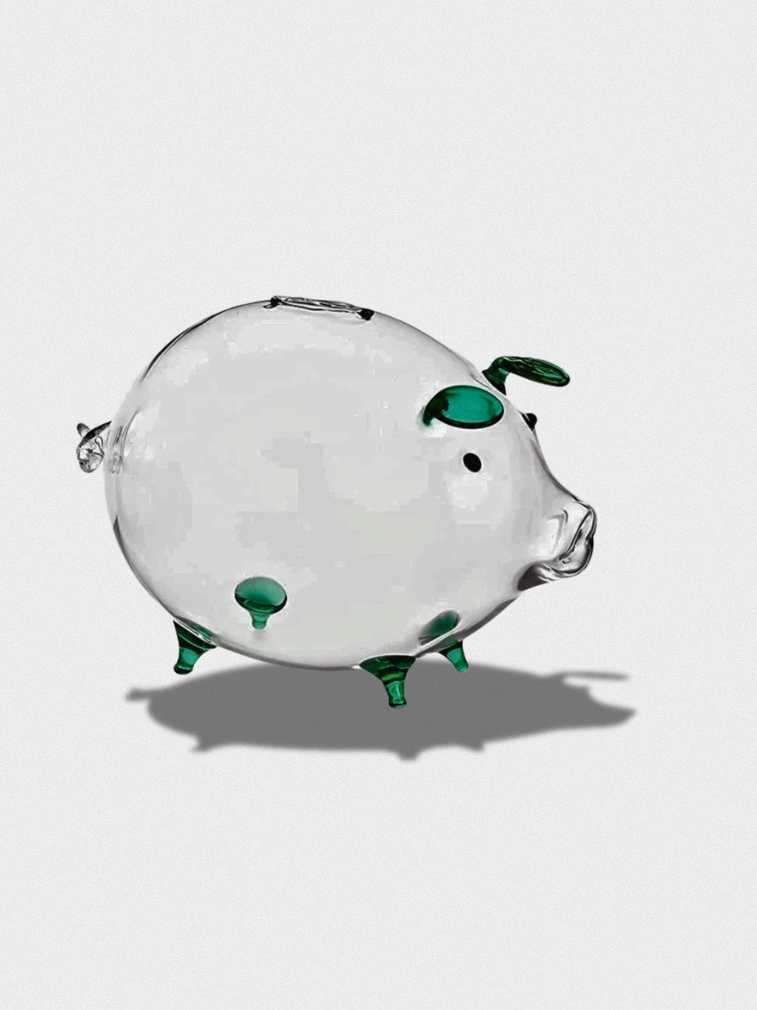 Tirelire Cochon Transparente